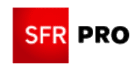 Logo Sfr Pro